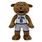 Bleacher Creatures Villanova Wildcats Will D. Cat 10" Mascot Plush Figure